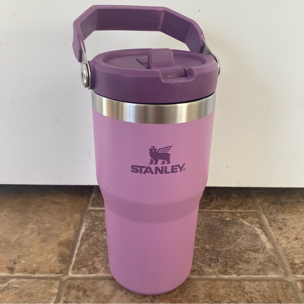 Stanley 20oz. Water bottle